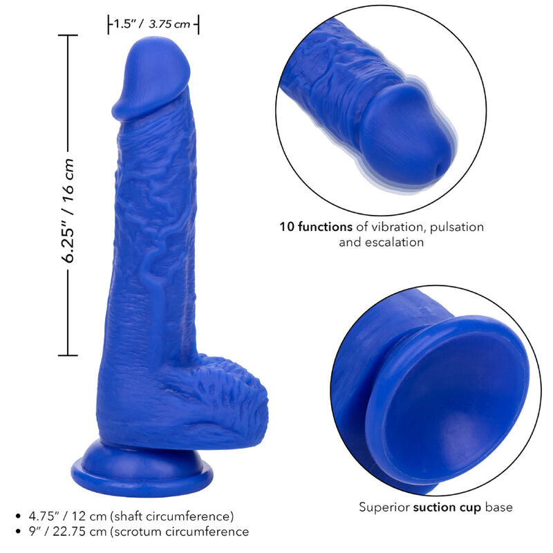 Dildo Vibrator Realistic, CalExotics - Admiral Sailor, Silicon Lichid, 19.75 CM Albastru